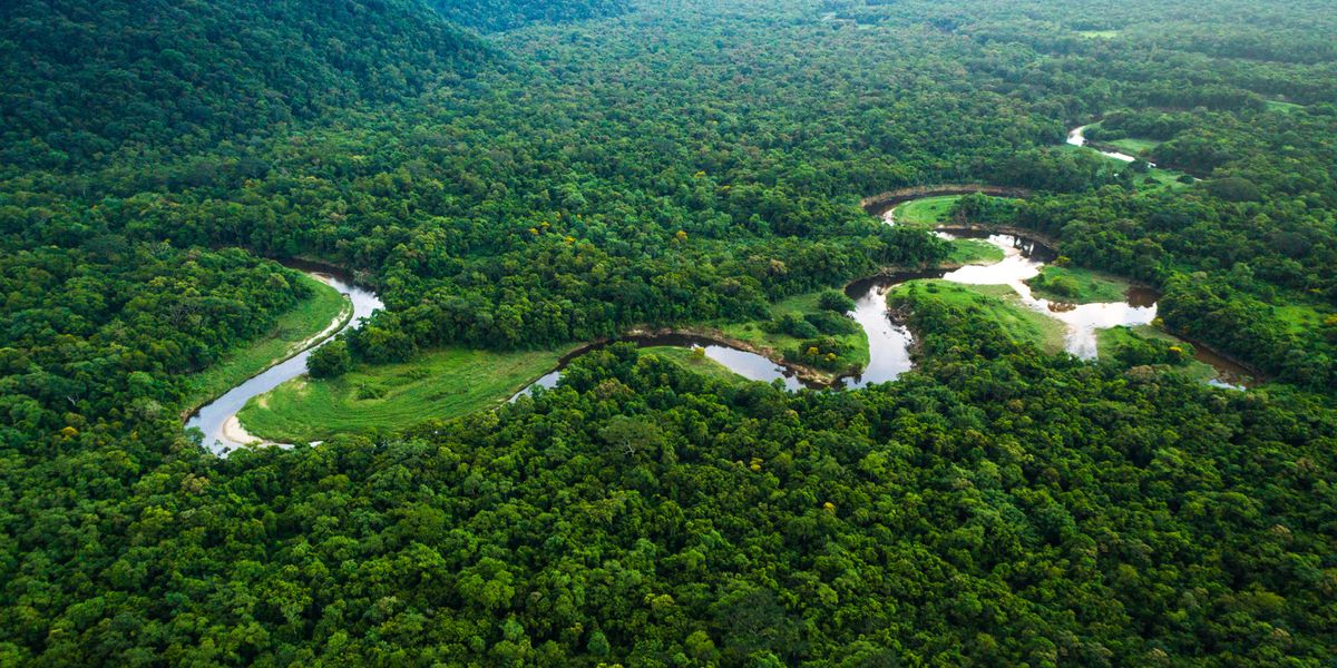 5 Special facts about Amazon forest