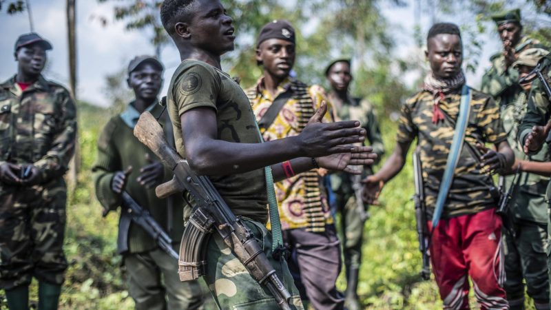 UN sanctions two senior FDLR commanders
